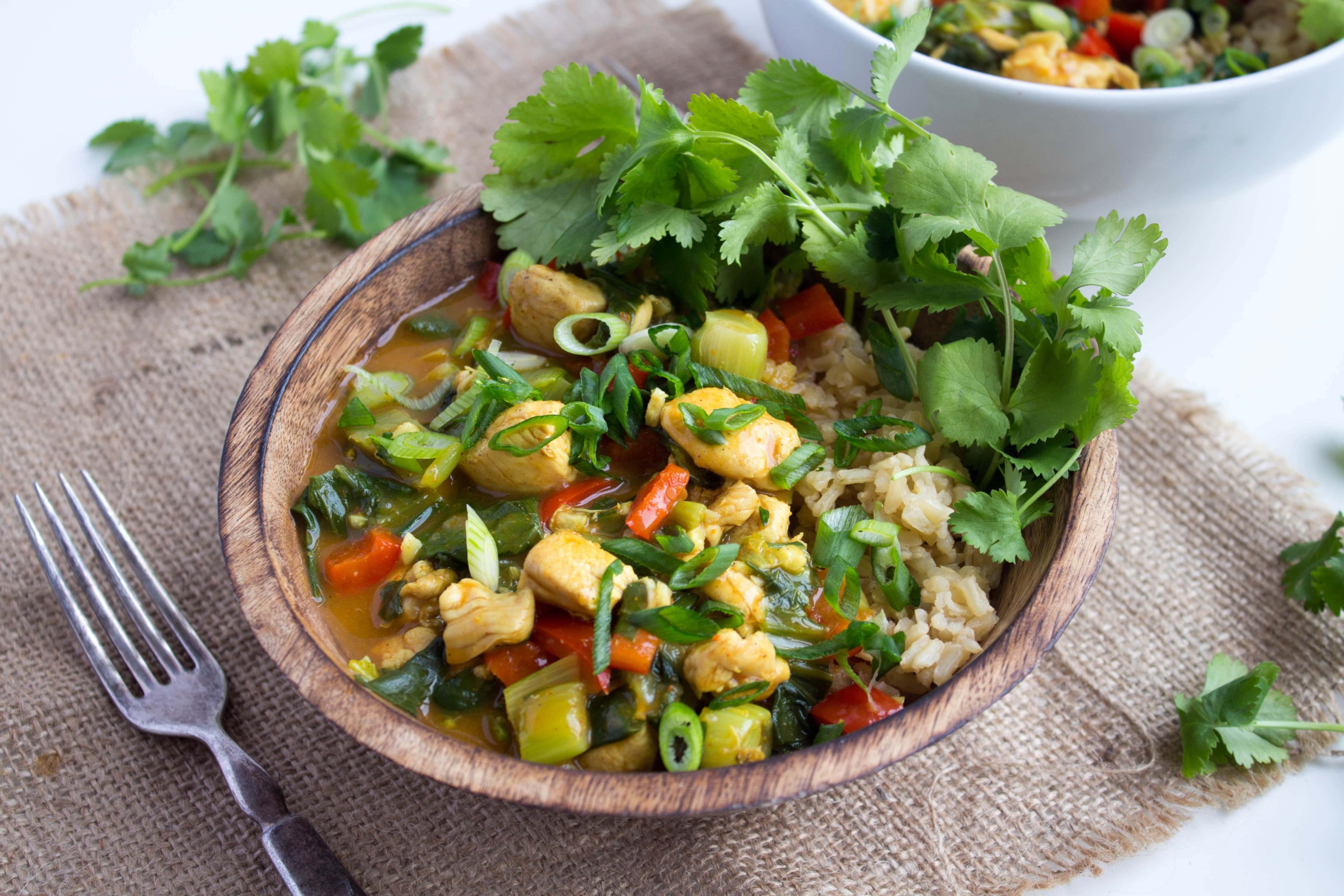 coconut milk chicken curry