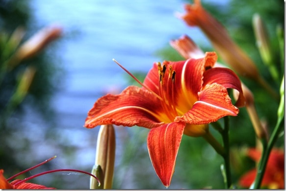 070