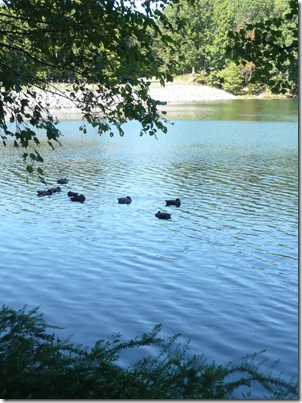 Lake 2