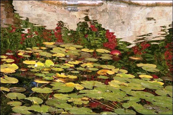 064