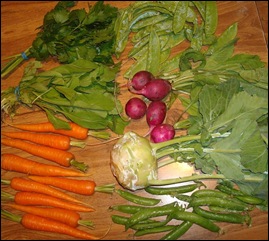 veg_2