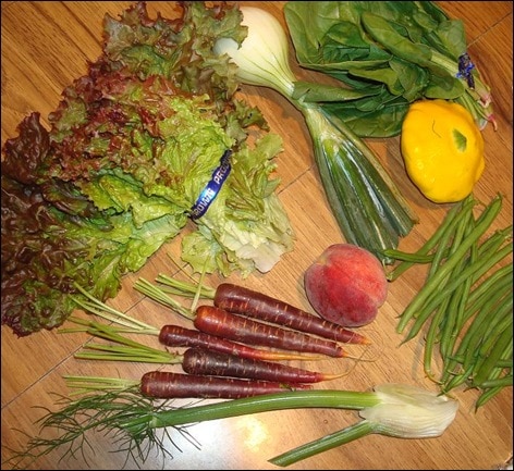 veg_3