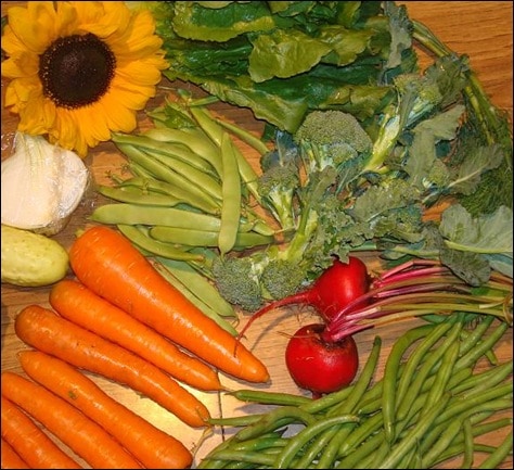 veg_4