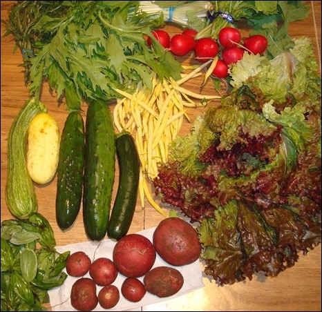 veg_5