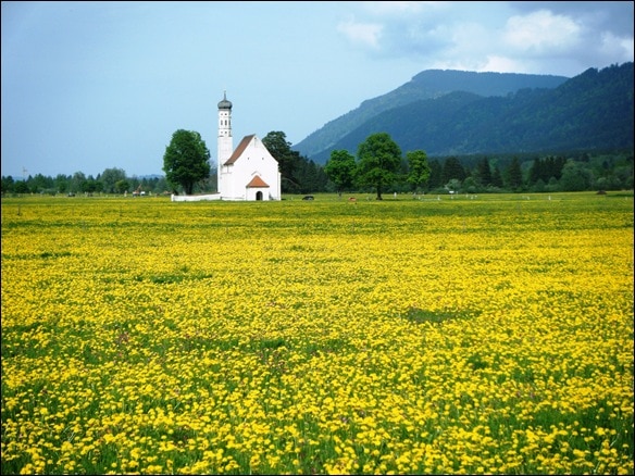 2009_0613GermanywithMelli0071