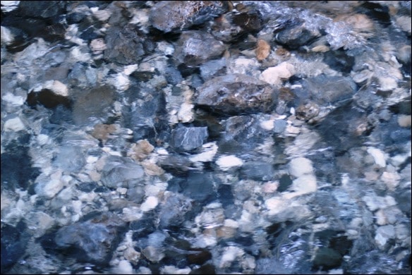 041