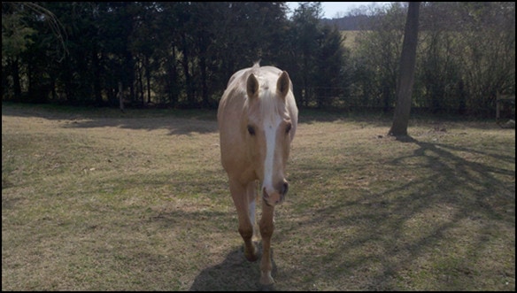 image_thumb1
