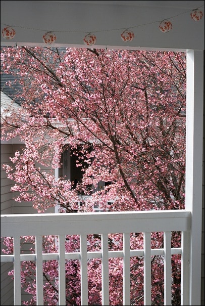 029