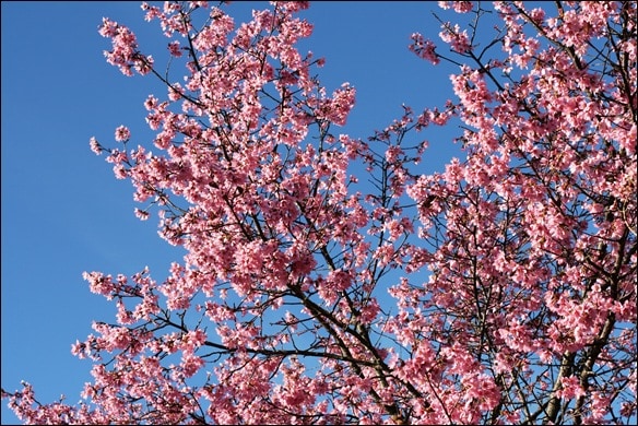 030
