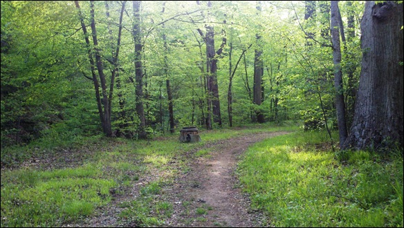 trail