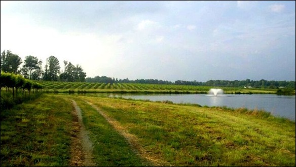 scenery