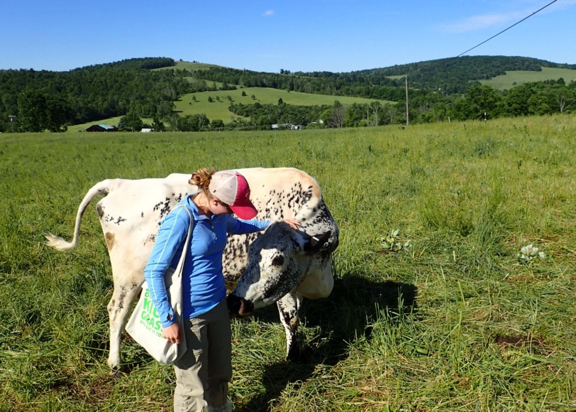 organic valley grassmilk farm