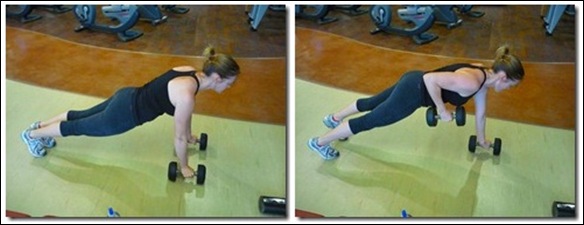 plank rows