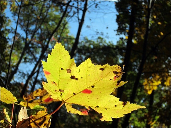 IMG_0123 IMG_0123