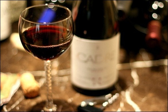 IMG_4545 IMG_4545