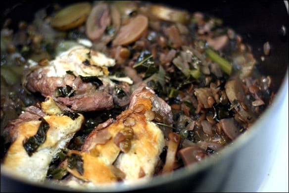 IMG_4645