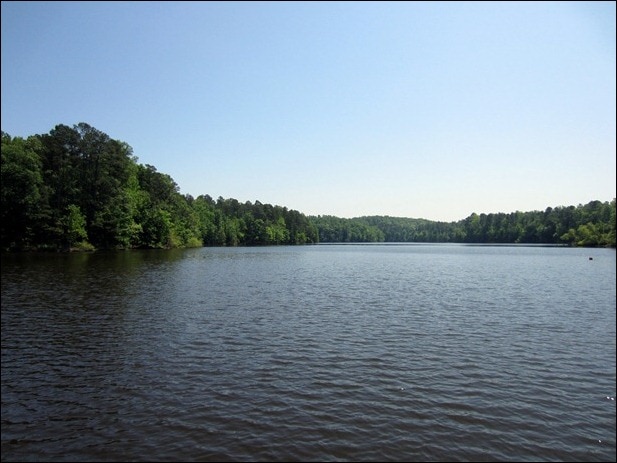 IMG_1767 IMG_1767