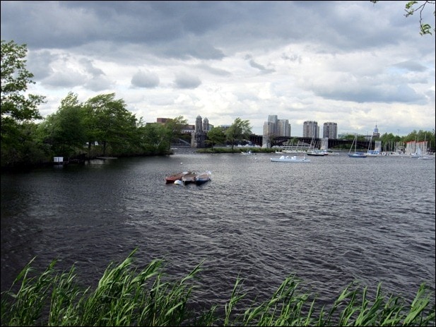 IMG_1893 IMG_1893