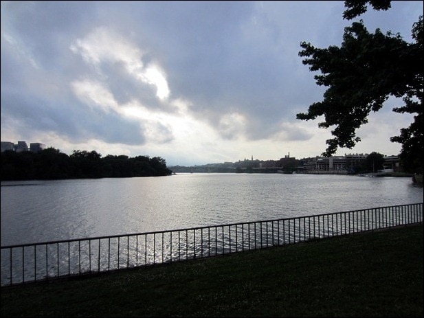 IMG_2339 IMG_2339