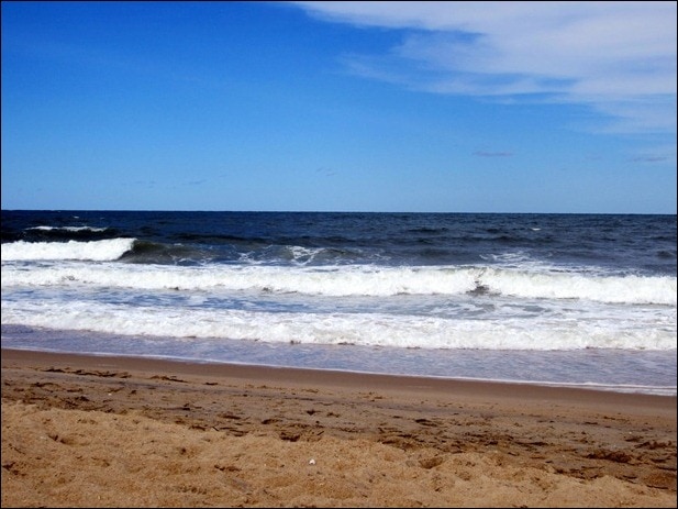 IMG_2470 IMG_2470