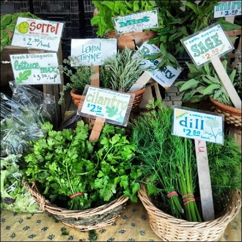 farmers market