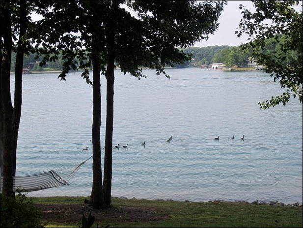 IMG_2591 IMG_2591