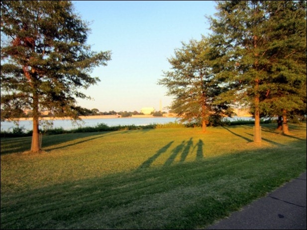 IMG_0248 IMG_0248