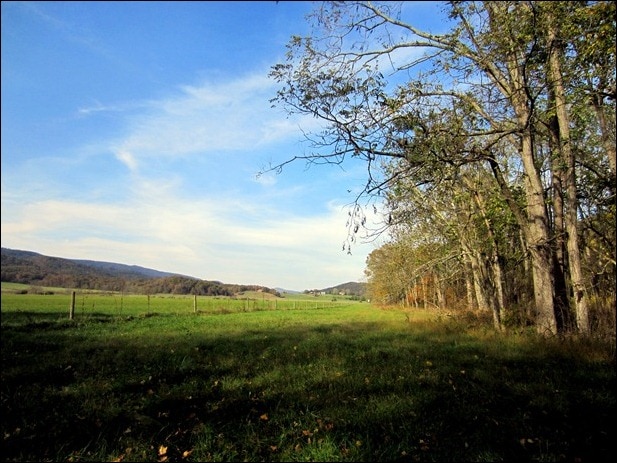 IMG_0523 IMG_0523