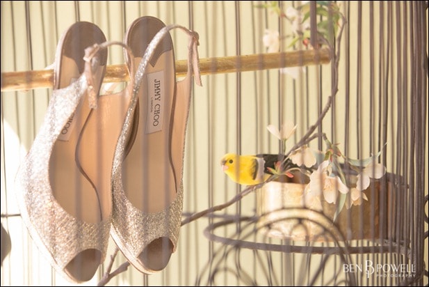 the shoes