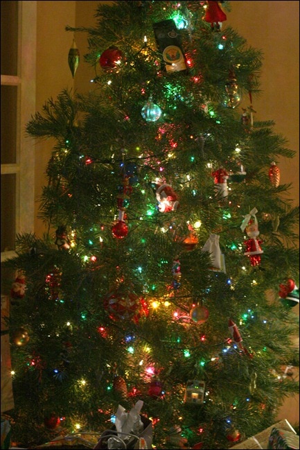 IMG_7045 IMG_7045