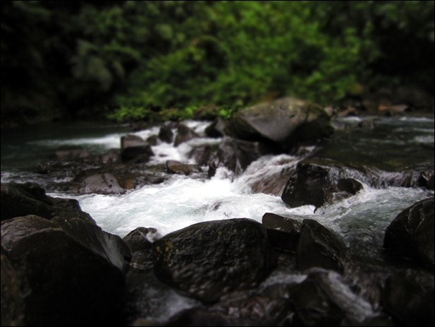IMG_0040 IMG_0040