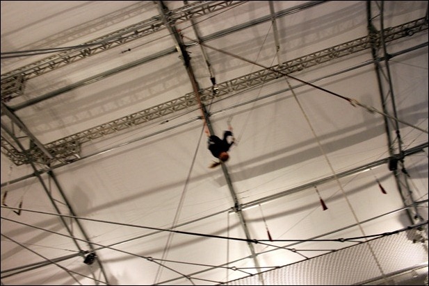 IMG_2331 IMG_2331