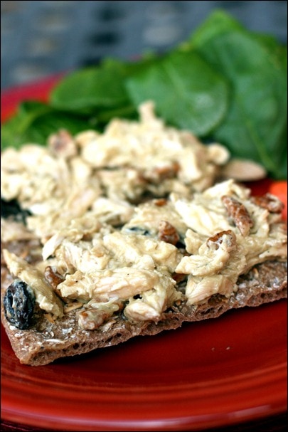 vegan dairy free mayo recipe