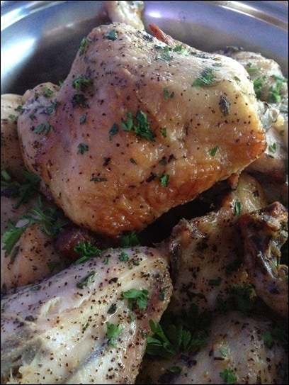 chicken
