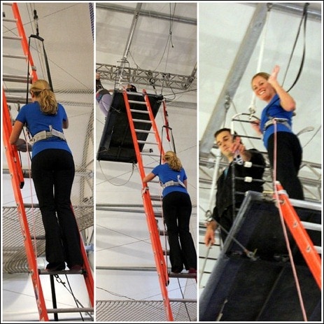 ladder