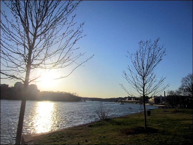 IMG_2748 IMG_2748