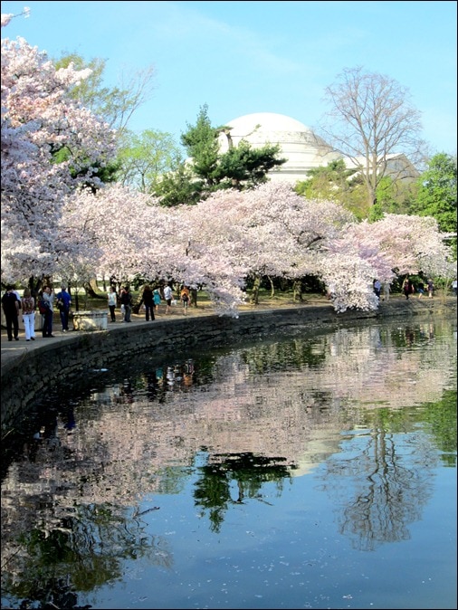 tidal basin