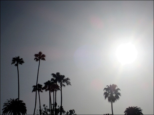 IMG_3009 IMG_3009
