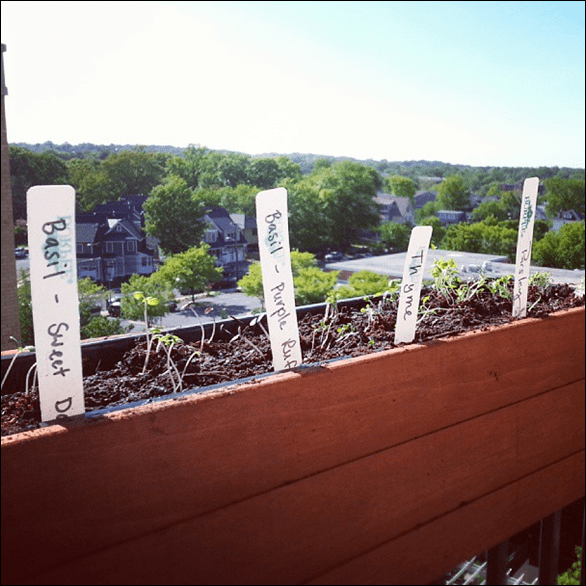 apartment_herb_box