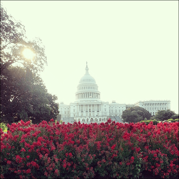 us_capitol_at_sunrise