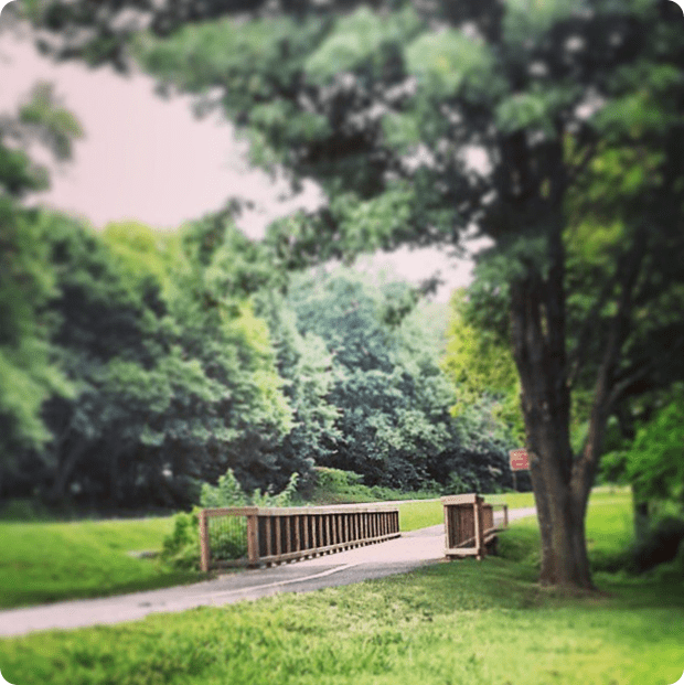 biking_the_mt_vernon_trail