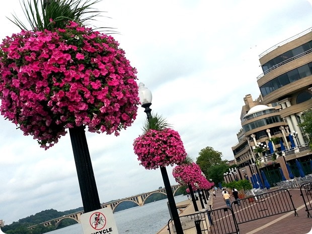 georgetown waterfront 2