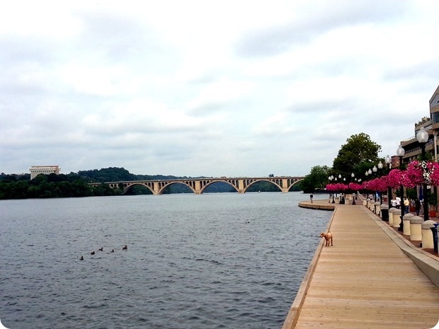 georgetown waterfront