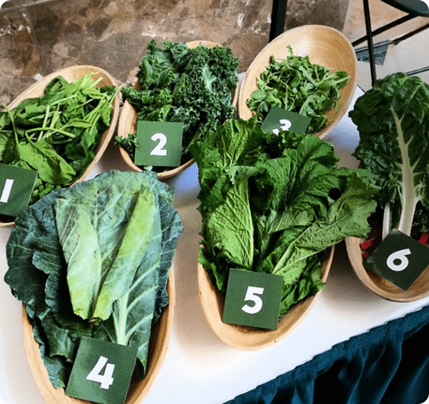 guess_the_greens