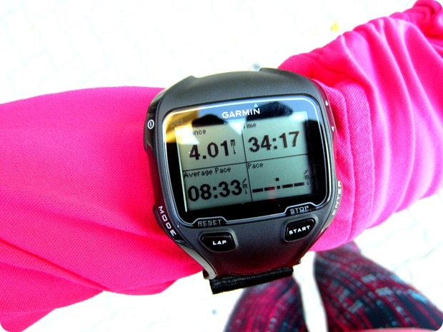 IMG_0646
