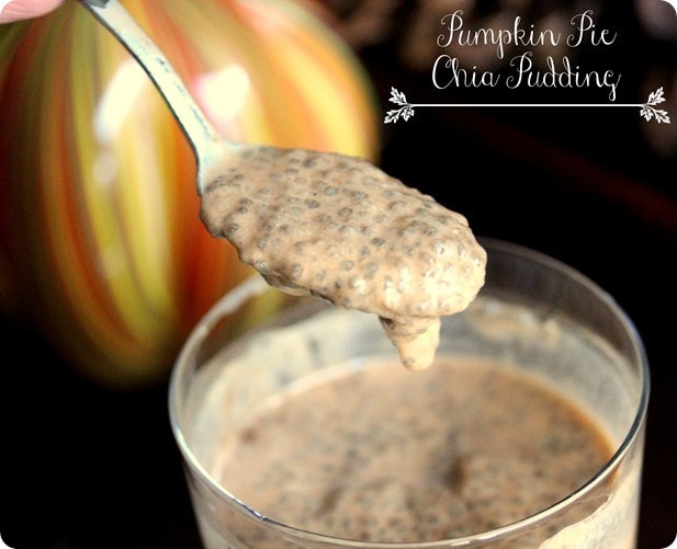 pumpkin pie chia pudding