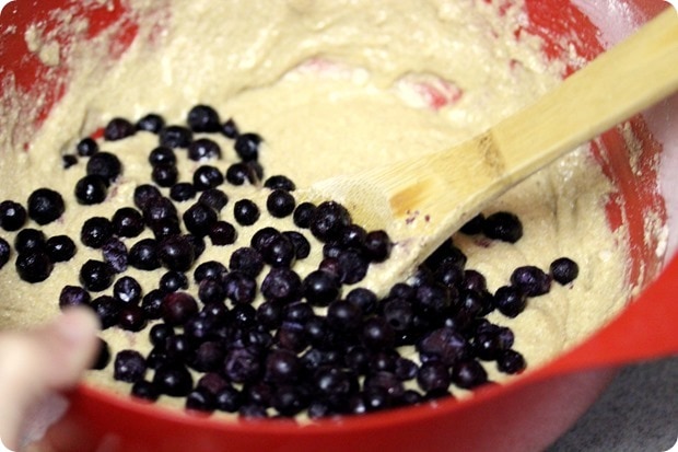 how to make wild blueberry biscotti recipe