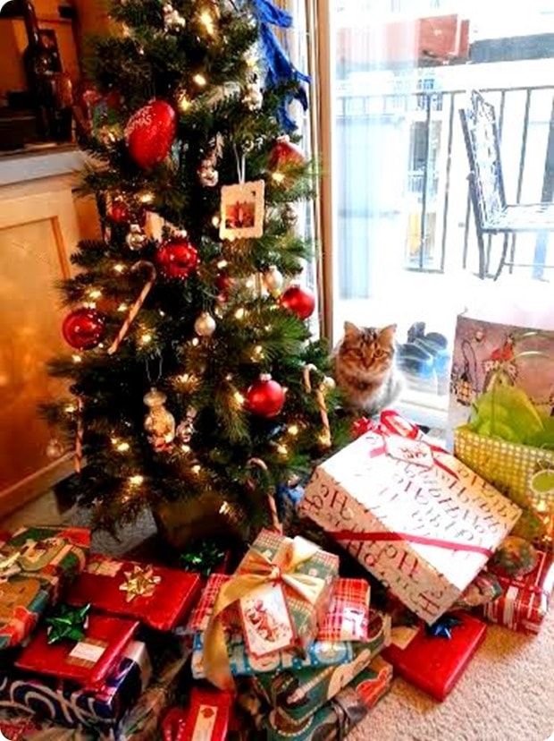 christmas tree cat christmas tree cat