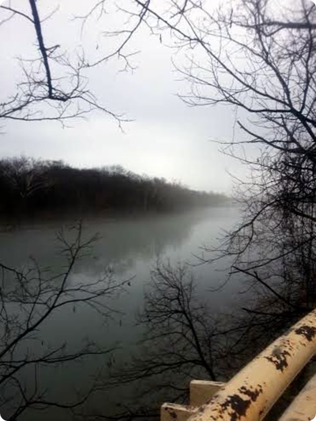 foggy run