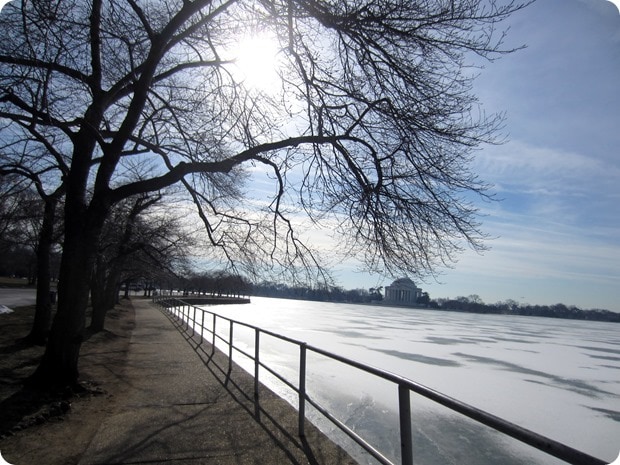 IMG_1133